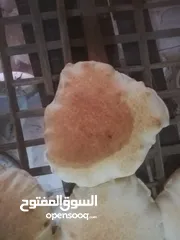  4 خباز خبز لبناني و شامي وكماج مصري أكثر من 10 سنوات خبره