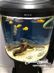  1 BOYU Half moon aquarium (fish and cabinet excluded )