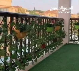  9 رول ورق شجر اخضر كثيف3 متر ب متر  للمداخل والبرندات واالحيطان