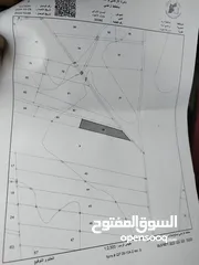  1 خمس دونمات و700متر