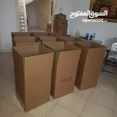  6 habib movers and packers