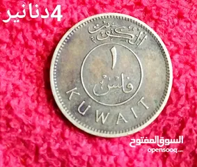  6 فلسات بسعر مغري للمهتمين السعر على الصور