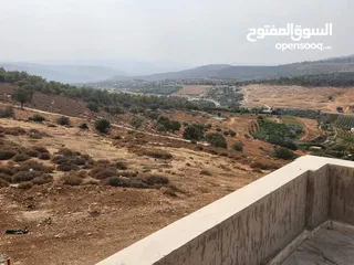  8 شاليه و مزرعه  نظام فلل للبيع بسعر لقطه تبعد عن عمان 10دقائق طريق جرش خلف مطعم الوادي الاخضر (المالك