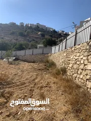  4 ارض للبيع مميزة في دويربان واد الزرزير