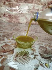  1 زيت زيتون جديد 2025، زيتون ترمسعيا