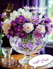  6 مكتب وكرسي للبيع