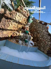  4 مزرعة العنود للايجار اليومي