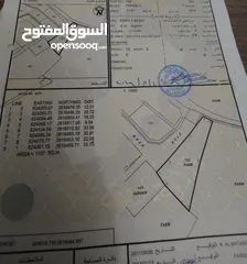  1 للبيع اراضي زراعية في الحيل الشمالية بموقع ممتاز