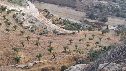  2 أرض في بيت كاحل مطلة على واد القف  شارع هيكلي لها من واد القف عرض 8 متر وشارع عرض 6م من بيت كاحل
