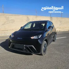  1 BYD سيكال 2024 شكل 2025
