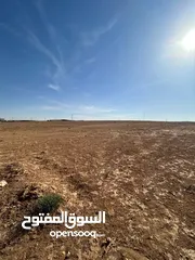  6 قطعة ارض للبيع الموقر (حوض الحماد) 4 دونمات