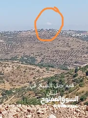  11 مزرعه للبيع في جرش سوف منطقه الظهره الشماليه