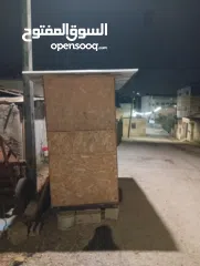  2 كشك أو كيوسك ماكولات ومشروبات