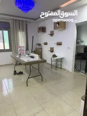  3 شقة الخليل