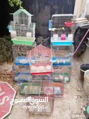  21 قفص ببغاء كبير يتسع لأكثر من طير مستعمل نظيف