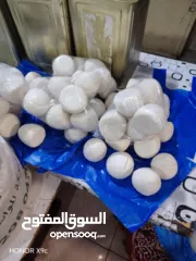  2 لبن غنم طازج ونظيف شغل ألف ألف