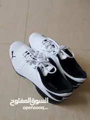  10 حذاء .Puma  اصلي بحال الوكاله لساته جديد وارد أروبي  الواحد ب 35