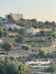  1 مزرعه للبيع / عجلون / رأس منيف