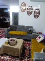  7 شقه جميله للإيجار اليومي