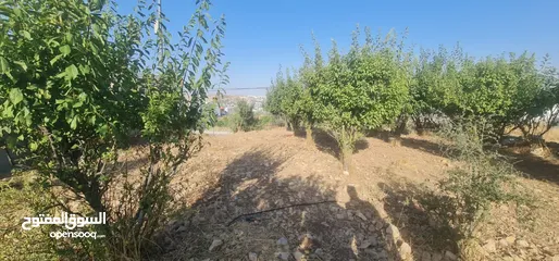  1 ارض بنص السعر للبيع المستعجل