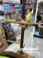  8 كوكتيل طفرة بريل أليف مع حبة سكني