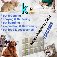  1 service and treatment of pets