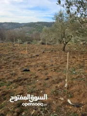  2 ارض زراعية للبيع مساحة 700 متر