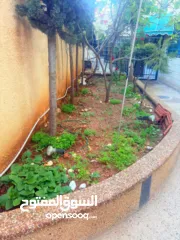  5 شقة مفروشة ارضية بمدخل خاص للايجار