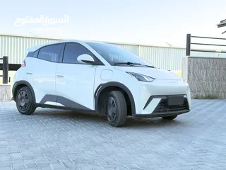  18 بي واي دي سيجال  ممشى قليل لون بيج