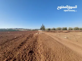  8 مادبا ماعين ارض زراعية مميزة عليها مزرعة زيتون جاهزة واصل جميع الخدمات مساحتها 4500 م