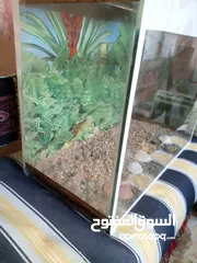  4 حوض سمك بحاله ممتازه استخدام اسبوع