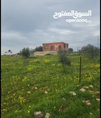  10 للبيع مزرعه 4.5 دونم في حمنانه المفرق ام حبل مخدومه