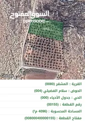  3 ارض المشقر 4100م2 اراضي عمان مزرعة زيتون