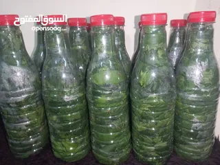  15 طعام جاهز  بيتي