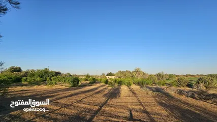  8 مزرعة 8 هكتارات على المعبد من جهتين في منطقة خنافيس