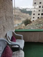  1 شقه مفروشه جميله للايجار اليومي