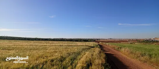  4 قطعة ارض بالقرب من الجامعة الامريكية