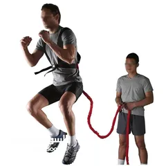  10 جرب طقم Back Exercise الأصلي
