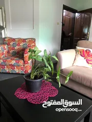  2 ستوديو مفروش للايجار بحالة ممتازة تصلح لعرسان او طالب، عمارة عائلات و هادئة - شارع الجامعة