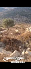  1 ارض للبيع في منطقه النصاريه كوسان سلطه