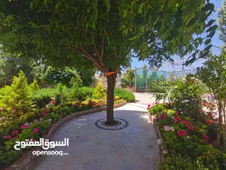  6 مزرعة للايجار عمان شارع الاردن