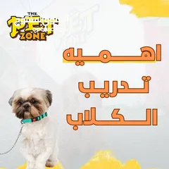  1 اهميه تدريب الكلاب