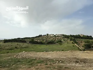  1 غرب سوف سهلات الغربيه قرب قصر السفير الاماراتي منطقه فلل و مزارع راقيه