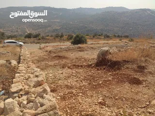  1 أرض للبيع في مزارع النوباني – موقع مميز وفرصة لا تعوّض!