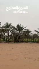  14 مزرعه جاهزة للبيع السعر نهائي