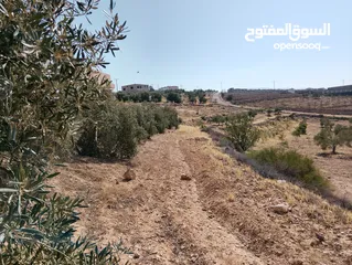  9 لقطة ؛ أرض زراعية مع غرفة على حدود الطفيلة والكرك ، تصلح للاستثمار كمزرعة سياحية أو منتجع سياحي