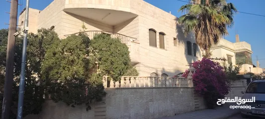  5 ؛شقه مستقله للاجار الزرقا الجديده شارع الفلاتر شارع البتراوي خلف مسجد عمر بن العاص