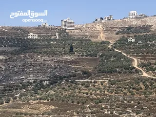  1 ارض بناء في محيط حي العامرية الجنوبي