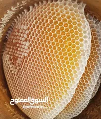  1 ابو رياض للعسل اليمني الفاخر