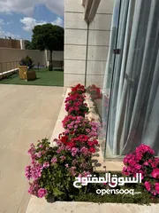  13 مزرعه وشاليه ايلا للايجار